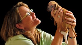 Lilly the Five-Legged Puppy's New "Normal Life"