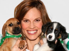 Celebrity Pets