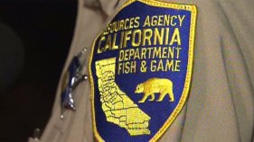 If Found, Bear That Attacked Will Be Killed