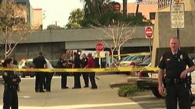 Police Kill Armed Man Vandalizing Patrol Cars