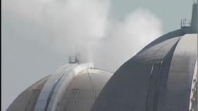 San Onofre Contractor Fell in Reactor Pool