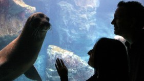 Valentine's Underwater
