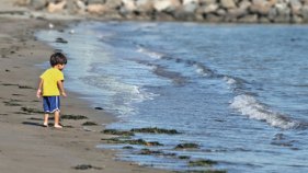 Report: CA Beach Water Quality Improving