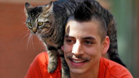Man, Cat Enjoy Bike Rides