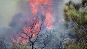 Fire Burning in Angeles National Forest