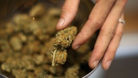 Feds Target Pot Shops in Eagle Rock, DTLA