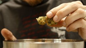 Voters Approve Medical Marijuana Measure D