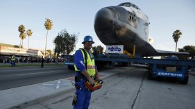 Trees Return Along Endeavour's Route