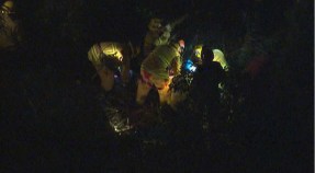 Allegedly Drunk Tree Trimmer Rescued After 2 Hours