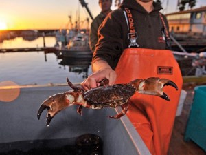 Harbor & Seafood Festival