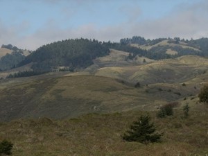 Veterans Honored with Mt. Tam Overlook