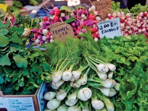 Sustainable Food Fest in Santa Barbara
