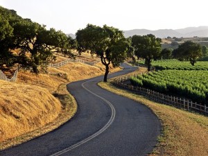 Wine Around in Santa Ynez Valley