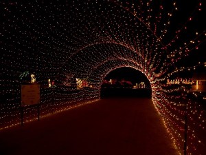 WildLights in Palm Desert