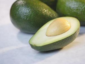 Carp's Avocado Love Fest