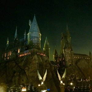 Wizarding World Red Carpet in Hollywood