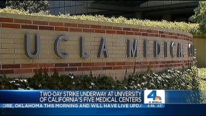 Striking Medical Workers Rally