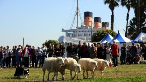 Scotland Celebrated, Queen Mary-Style