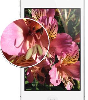 Apple Requires Retina Resolution Screenshots