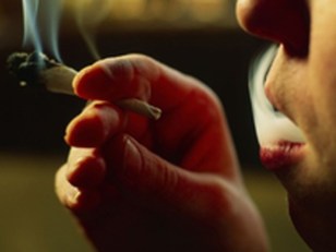 Want to Legalize Pot? Sign Here, Please