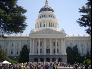 Five in Race to Replace Disgraced Assembly Member
