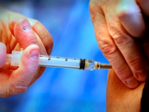 Supervisors Express Concern Over County's Swine Flu Program