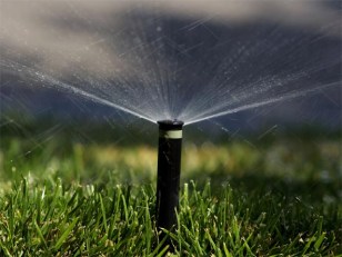 More Local Pols Caught Violating Water Restrictions: Investigation