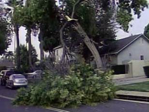 That Was One Obnoxious Windstorm