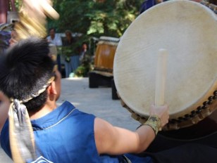 Taiko, Ikebana, Mum Show