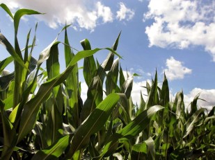 Eat This: Farm to Table Tour