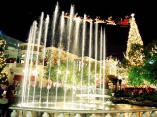 The Grove Glows