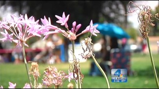 Riverside Residents Use Cooling Centers to Escape "Unbearable" Heat
