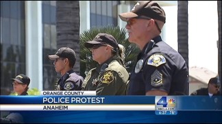 Cops, Protesters Clash in Anaheim