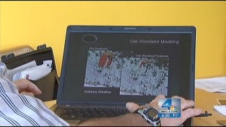 Mapping System Could Predict Wildfire Behavior