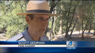 Tragedy at Yosemite