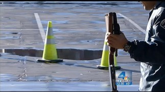 LA Gun Buyback Rescheduled in Wake of Newtown Shootings
