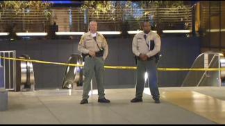 Man Stabbed to Death Inside Metro Train