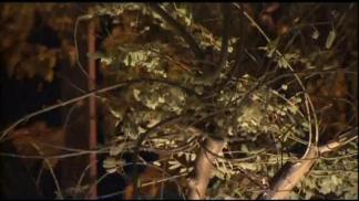 Santa Ana Winds Prompt Fire Warnings