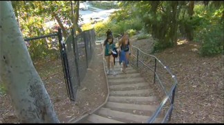 Alleged Assault on UCLA Campus