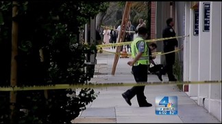 Mountain Lion Spotted in Santa Monica