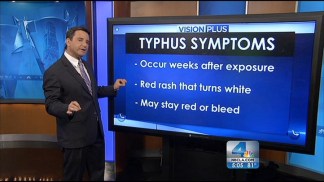 OC Typhus Cases: Symptoms and Treatment