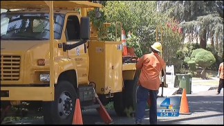 Maintaining LA's Urban Forest