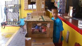 $2 Cardboard Arcade: "Best Deal of My Life"