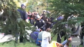 Police Pepper Spray Peaceful UC Davis Protesters
