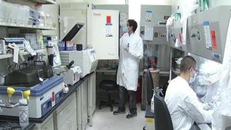 Turning Stem Cells into a Powerful Weapon Against AIDS
