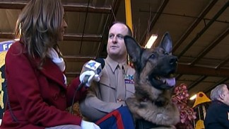 Judges Consider Rose Parade Floats