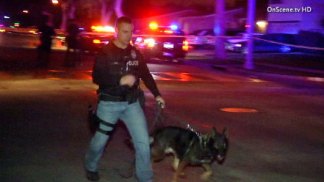 Search on for Gunman After Fullerton Officer Shot