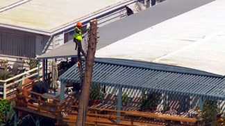 Crews Remove Tree After PCH Landslide