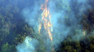 Lookout Fire Burns in Santa Barbara's Painted Cave Area