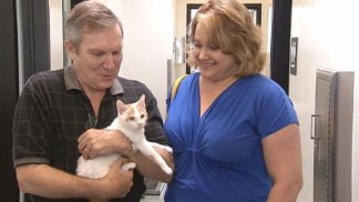 Stowaway Kitten Travels to LA in Freighter from China
